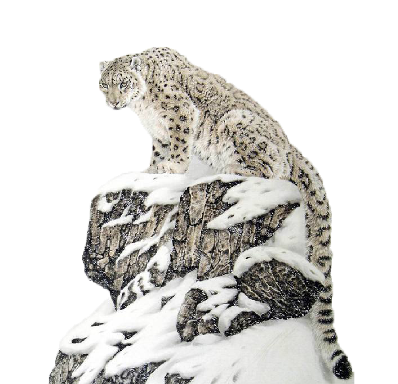 Инвестиции